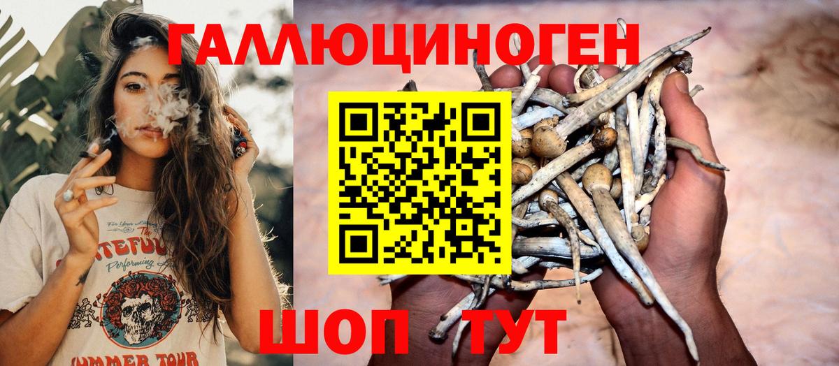 Галлюциногенные грибы Psilocybe Кунгур