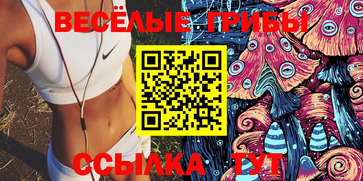 Кунгур  Псилоцибиновые грибы Cubensis  Псилоцибиновые грибы Psilocybe  Вход с VPN 